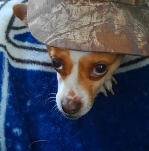 Meet your Posher, Jason